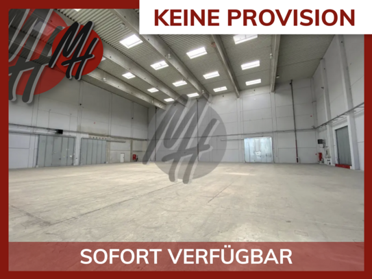 KEINE PROVISION - SCHNELL VERFÜGBAR - Lagerflächen (2.000 m²) zu vermieten