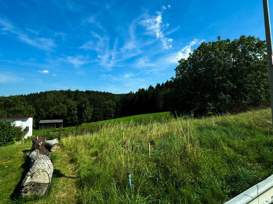 Unverbaubarer Blick ins Grüne! Traumgrundstück in Wenzenbach