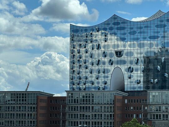 Ausblick auf die Elphi - Büro für dein Team