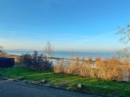 Stilvolles Reetdachhaus mit privatem Wasserzugang, Kamin und Sauna