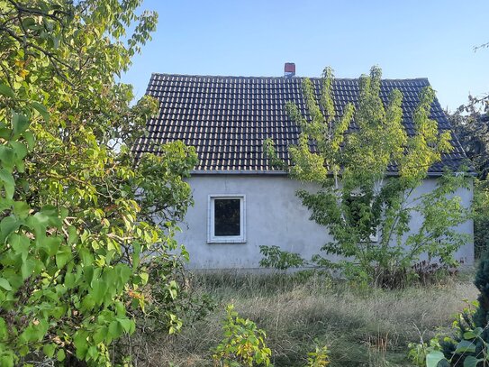 Einfamilienhaus im Oderbruch zum Ausbau