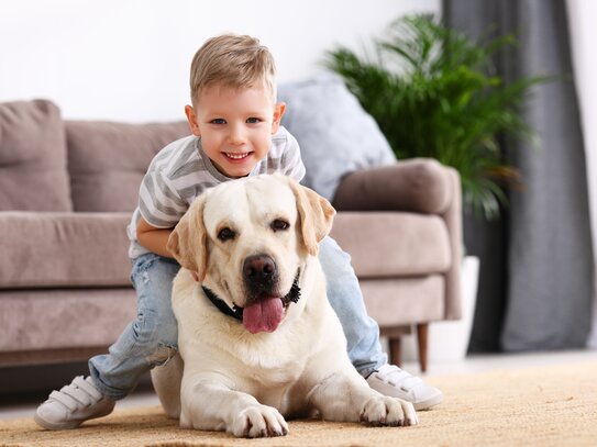 Einfamilienhaus mit großem Gartenparadies auch für Hund & Katz