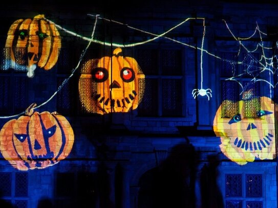 Spukfrei garantiert: Schnappen Sie sich Ihr Fertighaus zu Halloween! Einfamilienhaus in Toplage!