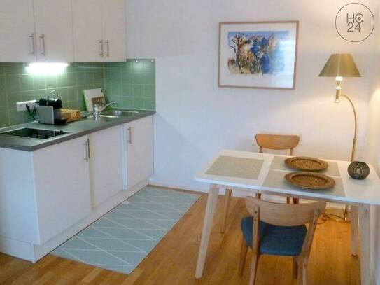 Möbliertes 2-Zimmer-Apartment mit PKW-Stellplatz in Langenargen, Seenähe