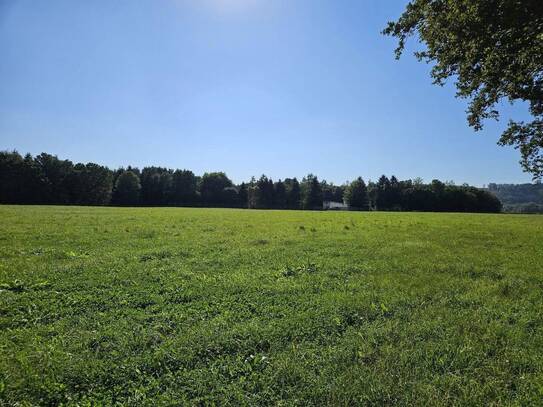 Abgelegen Alleinlage 735qm Nutzfläche Maschinenhalle Wohnhaus 26000qm Grundstück Wiese Wald autark