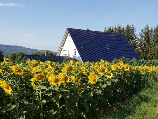 Liegenschaft in Randlage