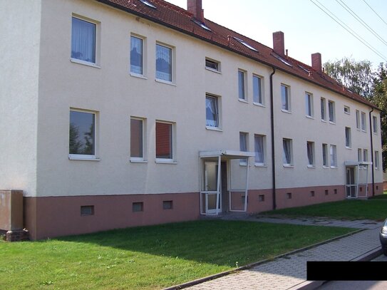 Gemütliches Einzimmerapartment am schönen Geiseltalsee sucht Nachmieter!