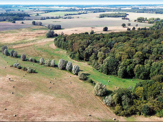 Grundstücke in 17179 Walkendorf OT Boddin