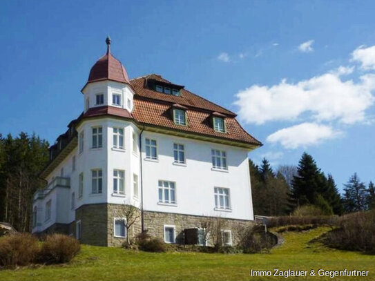 Denkmalgeschützte Wohnung in Spiegelhütte - renovierungsbedürftig - Erdgeschoss mit Terrasse