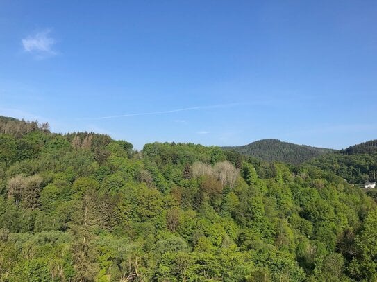 Kyllburg - Lichtdurchflutete 5 ZKB Wohnung