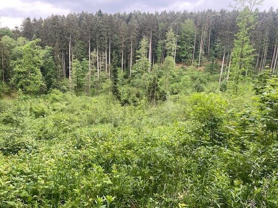 Waldgrundstück bei Deggendorf ! Ca. 19690 m² Nähe Grafling !