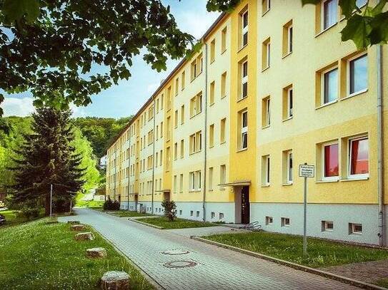 Hier möchte ich wohnen - am Stadtrand im Wohngebiet Borntal