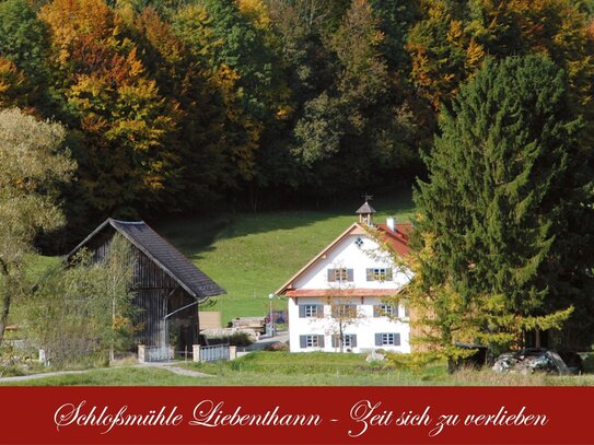 Schloßmühle Liebenthann