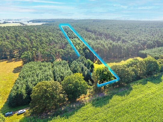 Nachverkauf: Ca. 1.5 ha gut Bestockter Wald