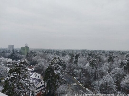 Wohnung mit Aussicht über die Baumwipfel hinweg in gepflegter Anlage!