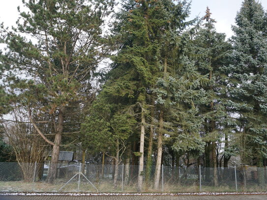 Bauplatz 750m² mit Fernblick in Höheischweiler