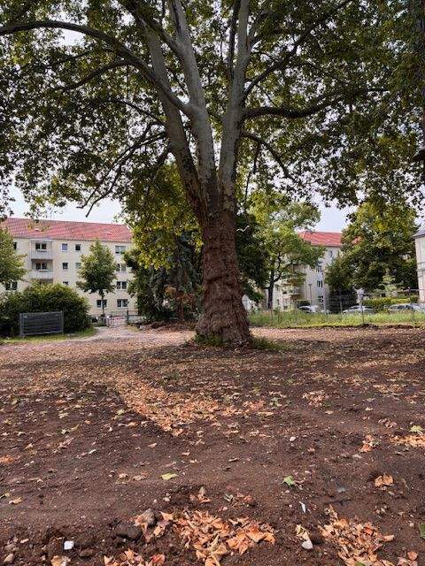 Exkl. 4 Zimmer-Neubauwohnung KfW40 Aufzug Baubeginn ist erfolgt!