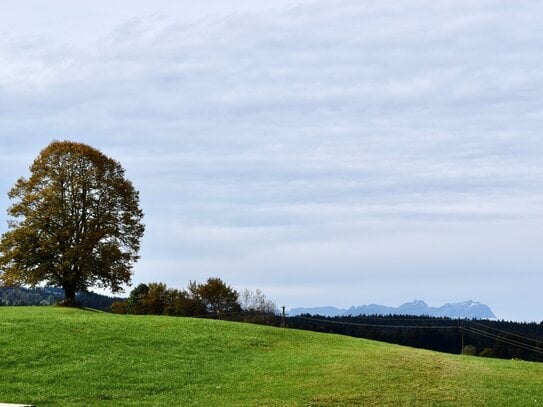 Helle Dachgeschosswohnung in ruhiger zentraler Lage von Oberreute mit Fern- und Bergblick Richtung Santas Massiv