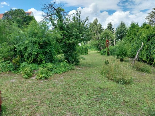 Grundstück im ländlichen Raum