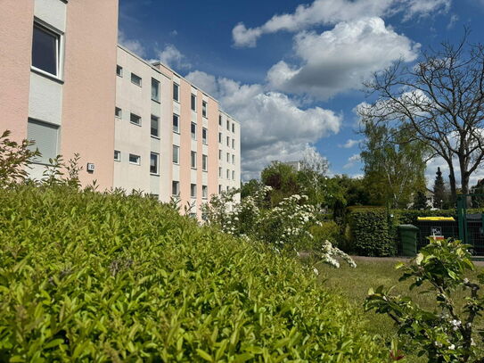 Wittenau - Gut geschnittene Eigentumswohnung mit sonnigem Balkon - Provisionsfrei und Bezugsfrei