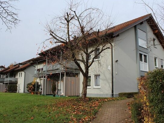 Sulzbach-Laufen - frisch renovierte 4-Zi.-EG-Whg. ca. 98 m² Wfl. - Terasse, *neue* EBK