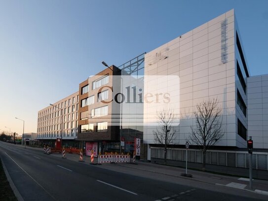 Moderne Büroflächen mit Dachterrasse, Coworking und Meetingräumen inklusive - COLLIERS