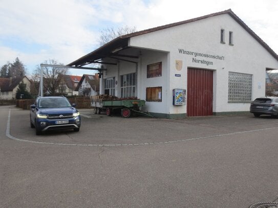 Norsingen bei Bad Krozingen, 1.272 m²-Wohnbau-Grundstück, vielseitig bebaubar, in ruhiger Innerortslage, gute Infrastru…