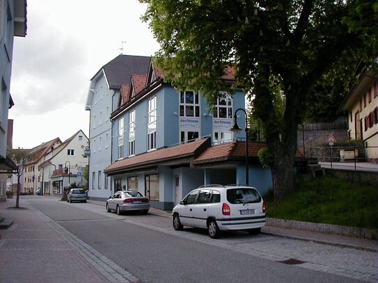 Laden- / Büro- / Gewerbefläche im Zentrum von Neustadt