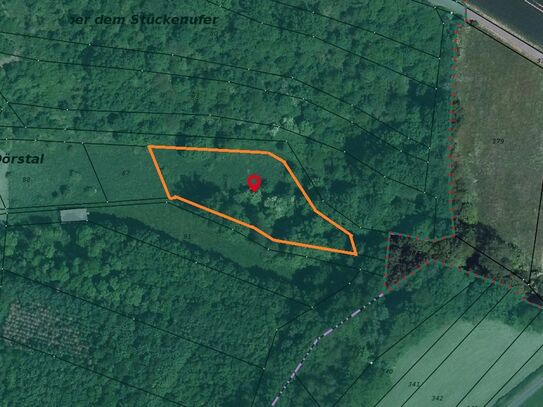 ***Landwirtschaftsfläche mit Wald in Jützenbach/Dörstal Thüringen***PROVISIONSFREI