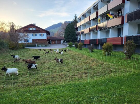 Renovierte 3-Zimmerwohnung mit Bergblick in Pfronten zu verkaufen