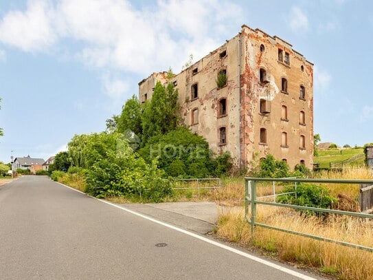 Entwicklungsobjekt - Loft-, Eigentumswohnung. Viel Potenzial mit Industriecharme.