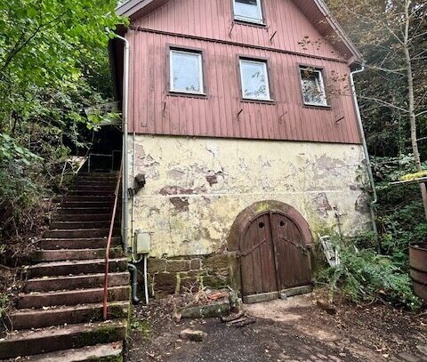 Ehemaliges Forsthaus mit großem Grundstück in Neuenbürg sucht Handwerker