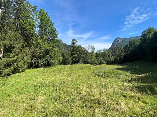 Landwirtschaftliche Fläche samt Waldstreifen zwischen Aschau und Sachrang