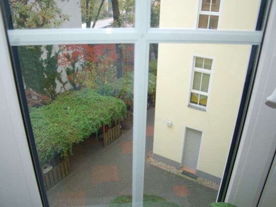 Im Prenzlauer Berg - Pankow Süd - Berlin Ruhige exquisite 2-Zimmerwohnung sucht Eigentümer