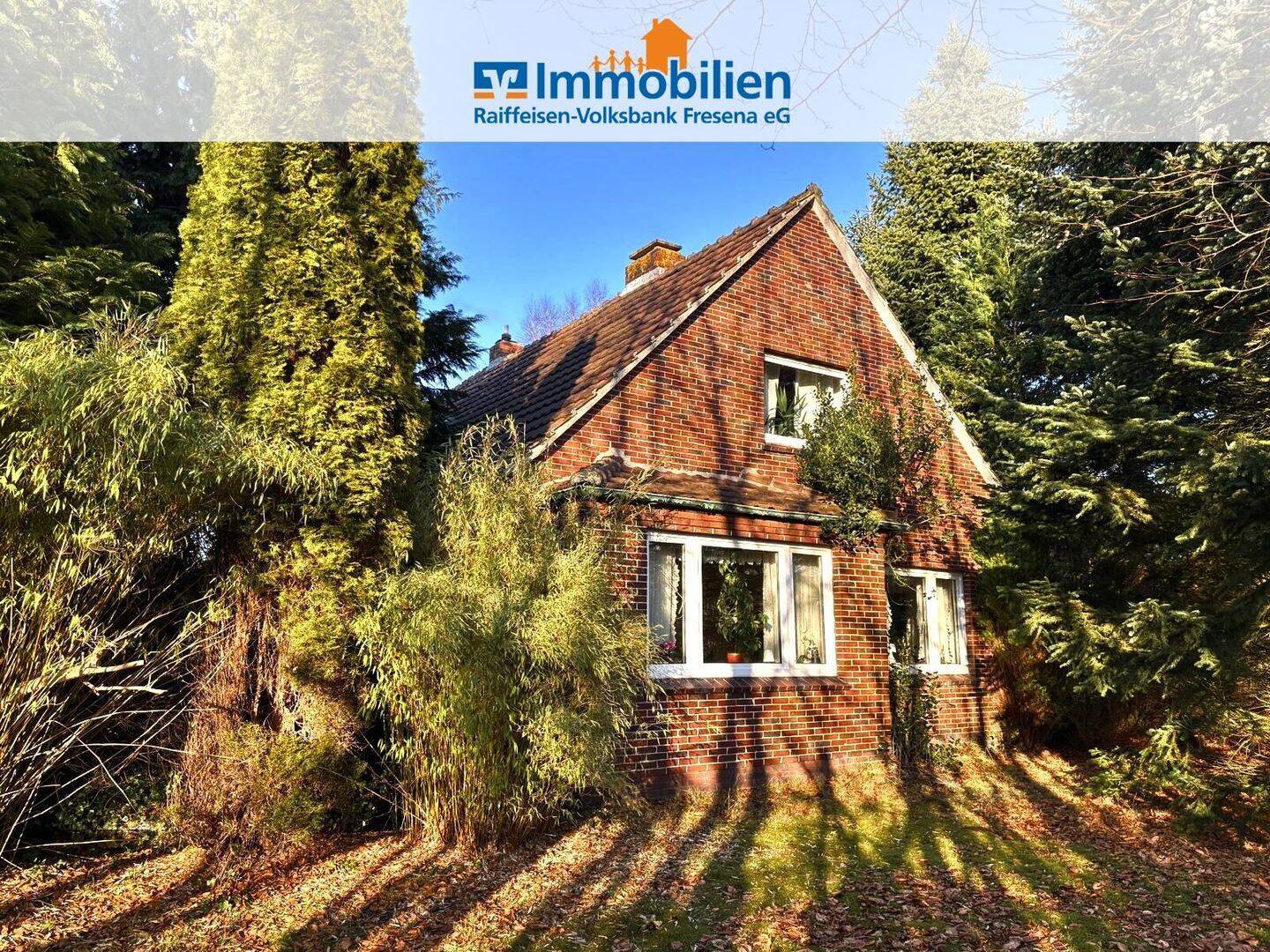Real Estate Title Image Background