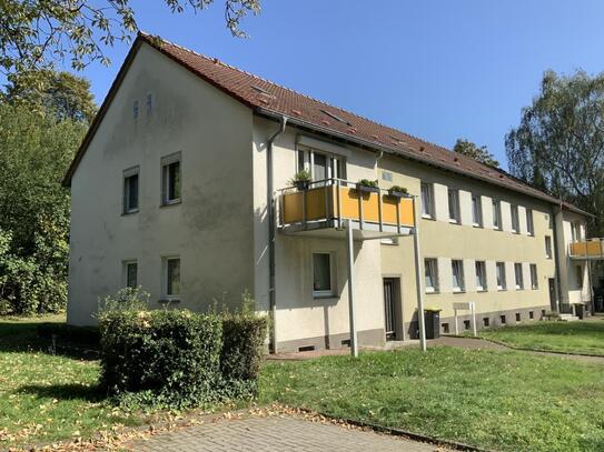 Ab sofort! 2-Zimmer-Wohnung in Herten Disteln