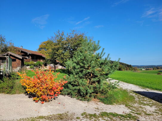 Neuwertiges ökologisch geprägtes Architektenhaus für die Klein-Familie