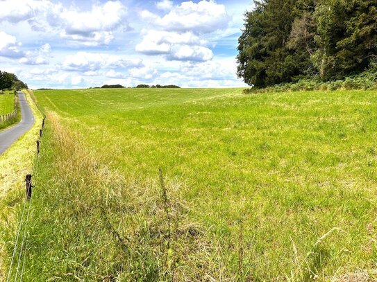 Grünlandfläche in Wermelskirchen