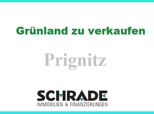 19 ha Grünland in der Prignitz