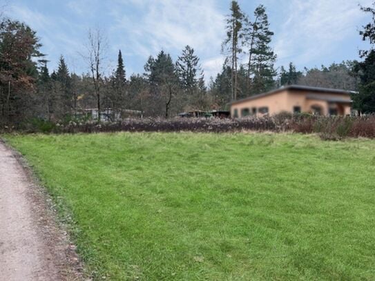 Naturliebhaber aufgepasst: Weitläufiges Grundstück für Wochenendhaus in Schwarzenbruck Pfeifferhütte