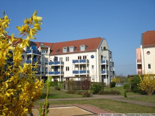 Frühstücksterrasse und Sonnenterrasse in Westausrichtung mit kleinem Gartenanteil