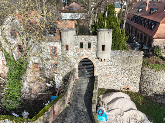 Schloss unweit von Frankfurt am Main