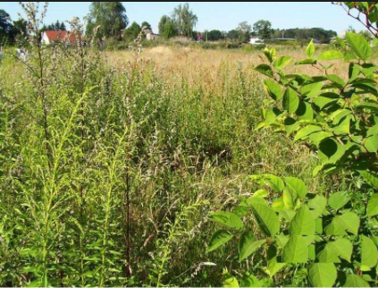 2.850 m² Grundstück nahe Naturschutzgebiet in Zossen