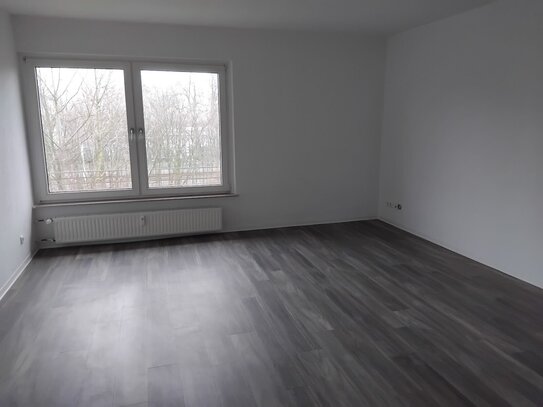 Sehr schöne 3 Zimmer Wohnung mit Balkon in Gelsenkirchen zu vermieten