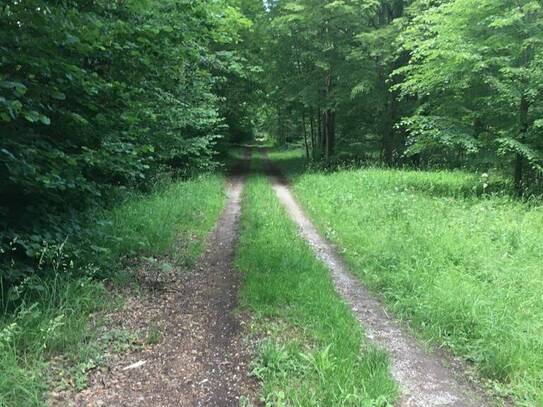 Zukunftssicher, individuell und nachhaltig - Ihr neuer Lebensraum. Vereinbaren Sie noch heute einen Termin in einem uns…