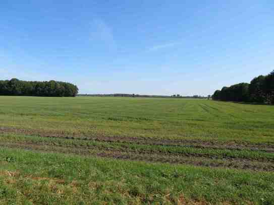 211.842 m² Forst-Landwirtschaftliche Nutzfläche in Zossen OT Glienick