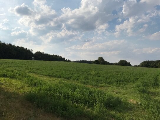 Ackerland und Wiesenfläche in Wieseth-Forndorf