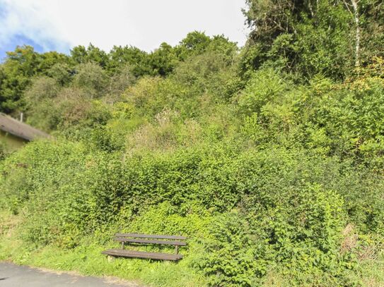 Bebaubares, teilerschlossenes Grundstück in Schönecken