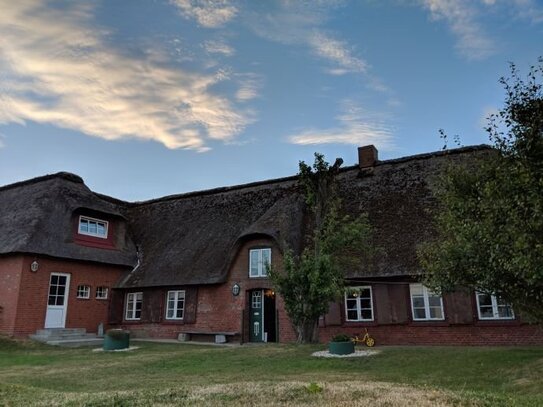 Großzügiges nordfriesisches Reetdachhaus auf der Hallig Langeneß