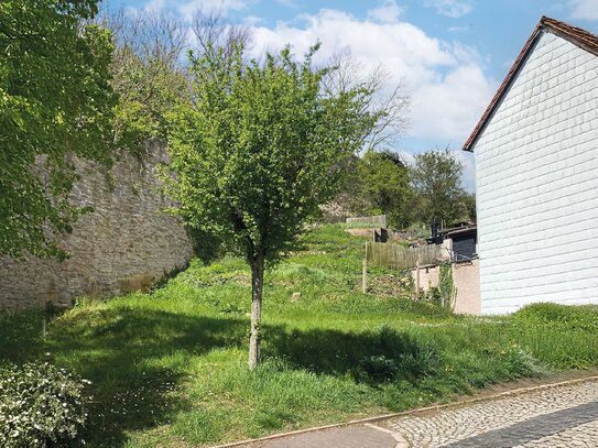 - Auktion am 13. März 2025 - Grundstück im historischem Zentrum von Amt Creuzburg